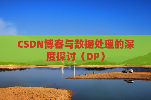 CSDN博客与数据处理的深度探讨（DP）